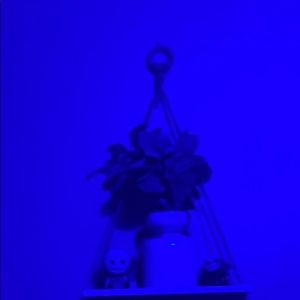 Meet your Posher, Mitchell